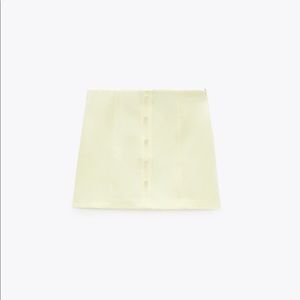 Zara skirt